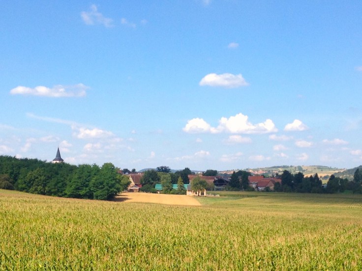 14195323_10209998251091419_3542119899046446434_o